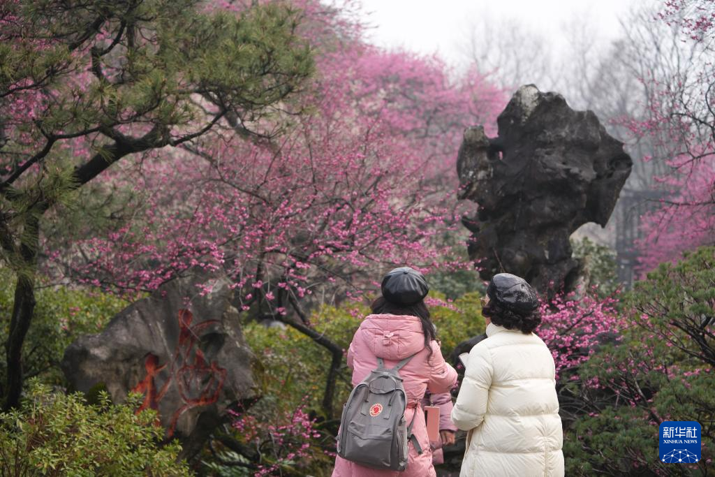 杭州：靈峰探梅